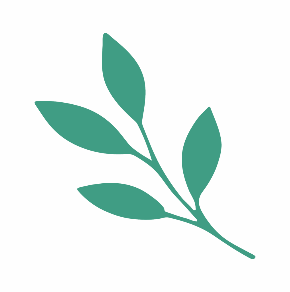 Branche verte stylisée, symbole naturel du logo Émergence évoquant la croissance et l’ancrage.
