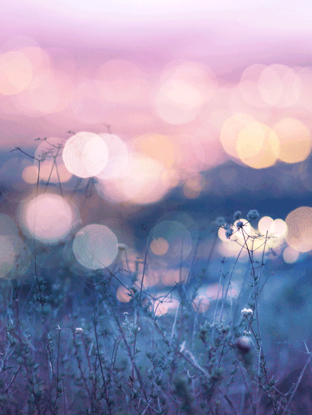 Animation poétique illustrant l’univers visuel des services d’Emergence