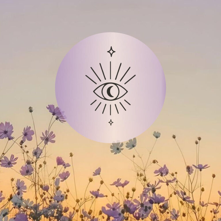 Cercle mauve rayonnant au-dessus de fleurs au coucher du soleil, symbole de visuels harmonisés.