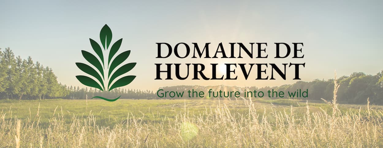 Logo du Domaine de Hurlevent sur une bannière nature