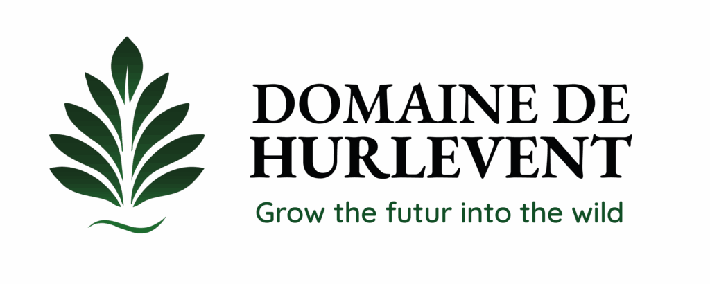 Logo secondaire horizontal du Domaine de Hurlevent
