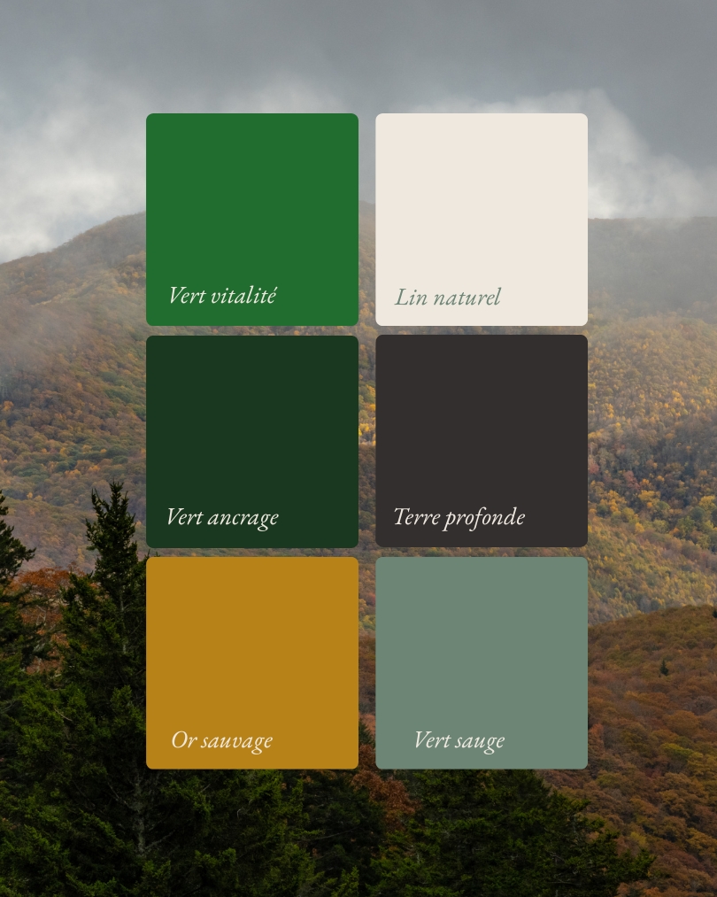 Palette de couleurs du Domaine de Hurlevent