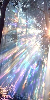 Rayon de lumière traversant une forêt, illustrant le rayonnement d’une identité visuelle complète