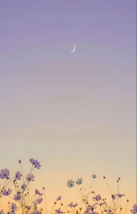 Image poétique au crépuscule illustrant l’inspiration et la création de visuels