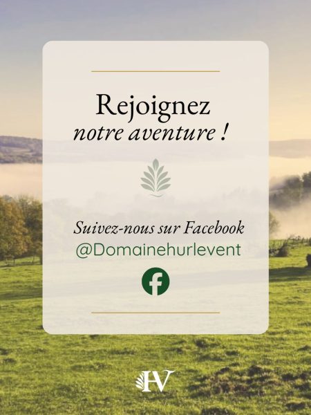 Sixième visuel du carrousel Instagram invitant à suivre le Domaine de Hurlevent sur Facebook