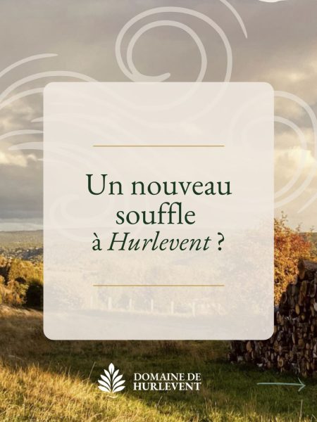 Visuel Instagram annonçant le nouveau logo du Domaine de Hurlevent