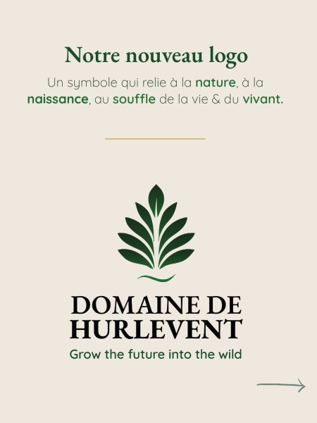 Deuxième visuel du carrousel Instagram présentant le nouveau logo du Domaine de Hurlevent