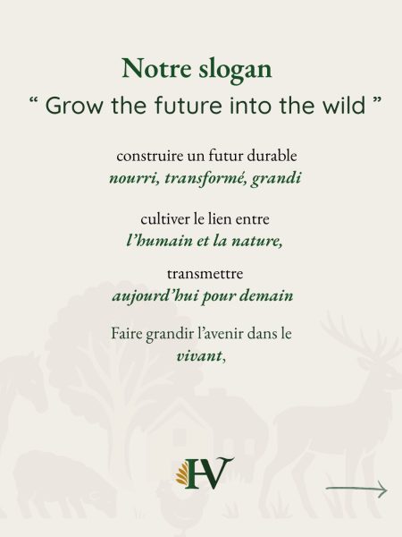 Quatrième visuel du carrousel Instagram présentant le slogan du Domaine de Hurlevent